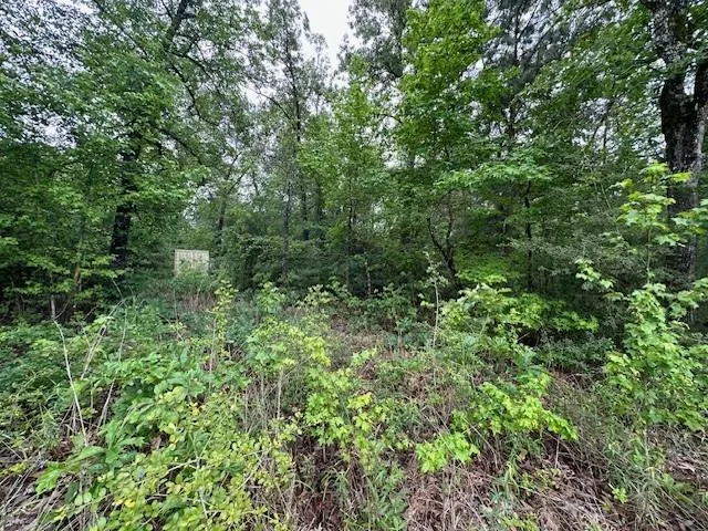 Co Rd 235 Oakwood, TX 75855