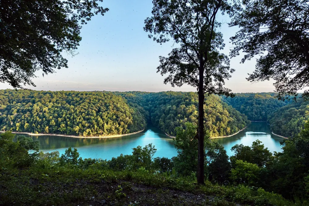 490 January Pl Smithville, TN 37166