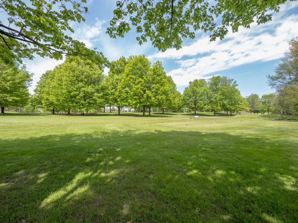 15915 Indian Valley Street Prairie Ronde Township, MI 49087