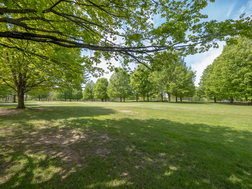15915 Indian Valley Street Prairie Ronde Township, MI 49087