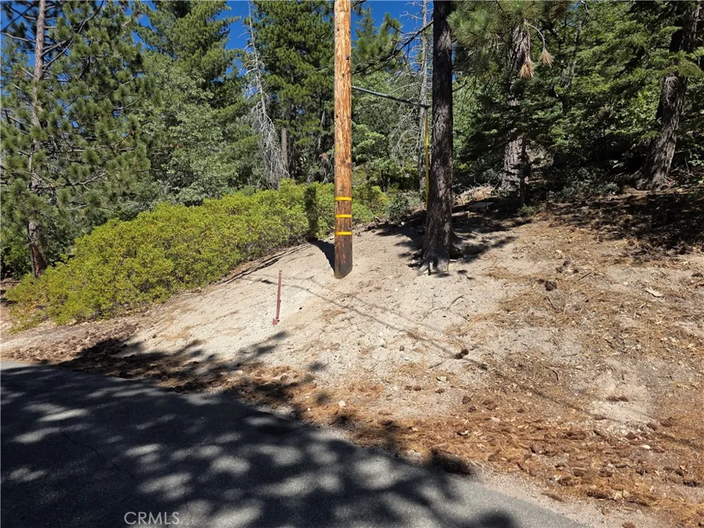 2419 Pine Drive Running Springs, CA 92382