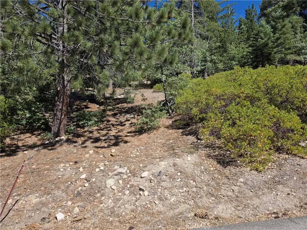 2419 Pine Drive Running Springs, CA 92382