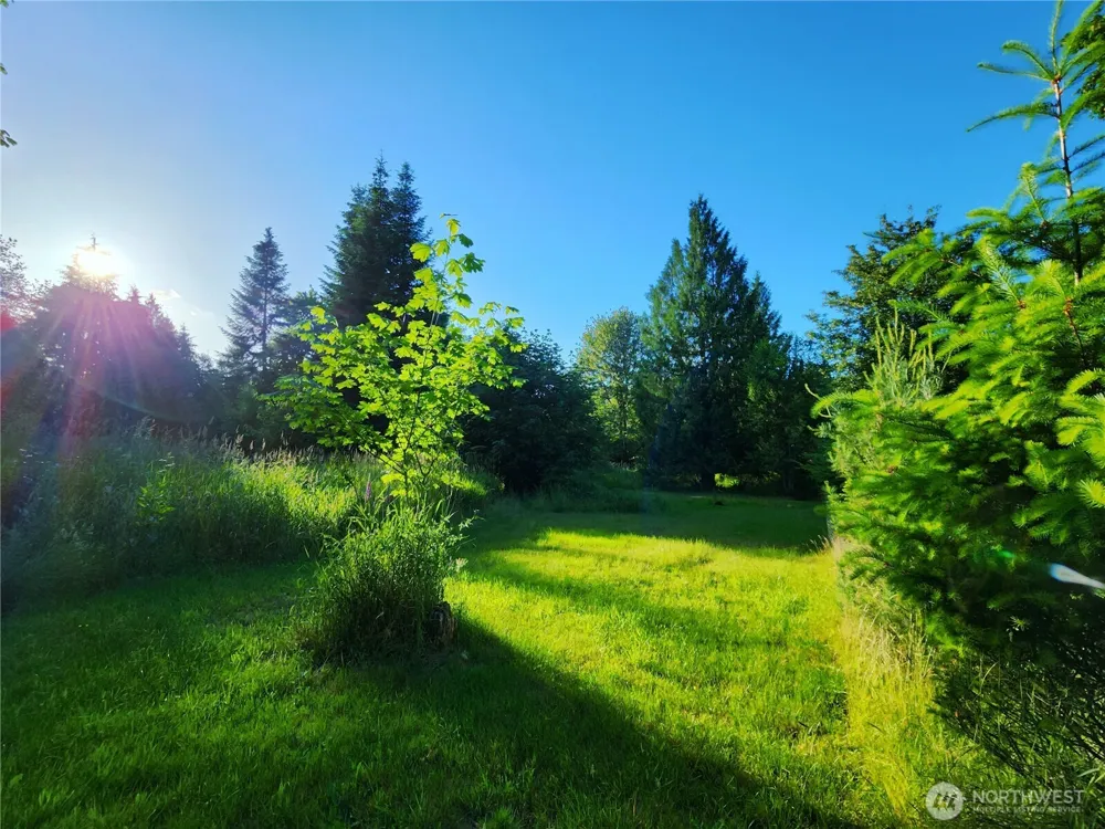 234 Markum Lane Winlock, WA 98596