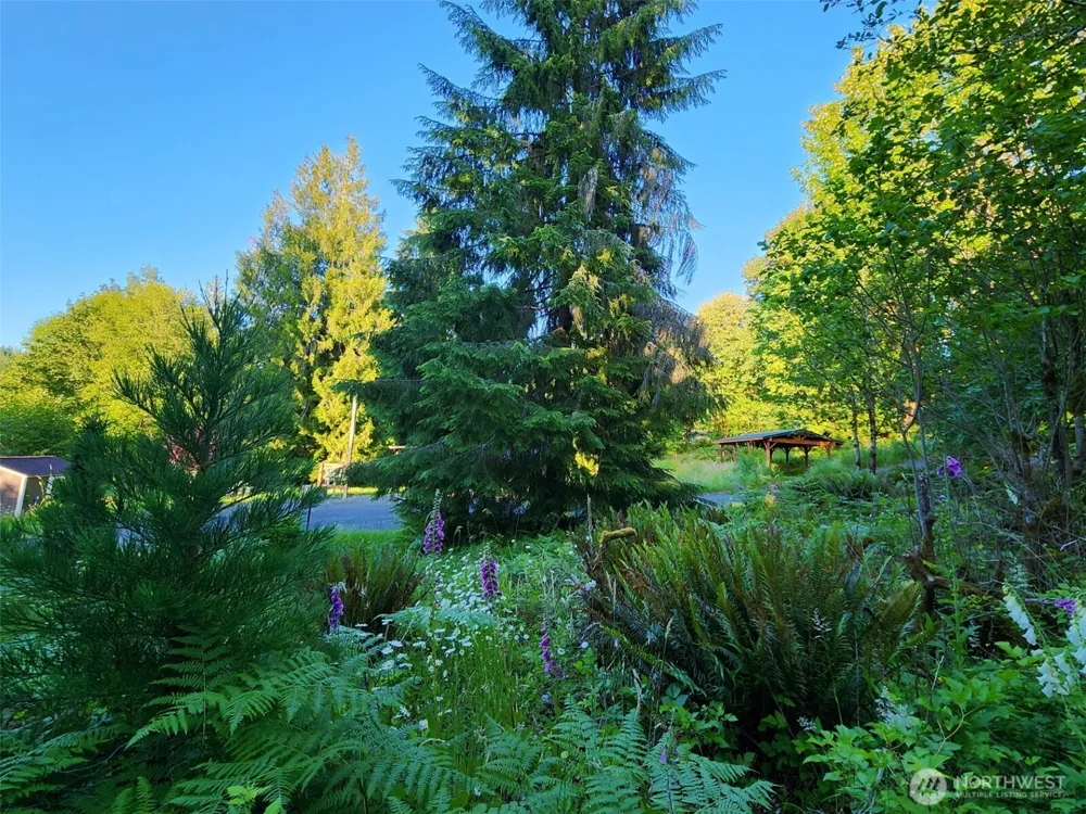 234 Markum Lane Winlock, WA 98596