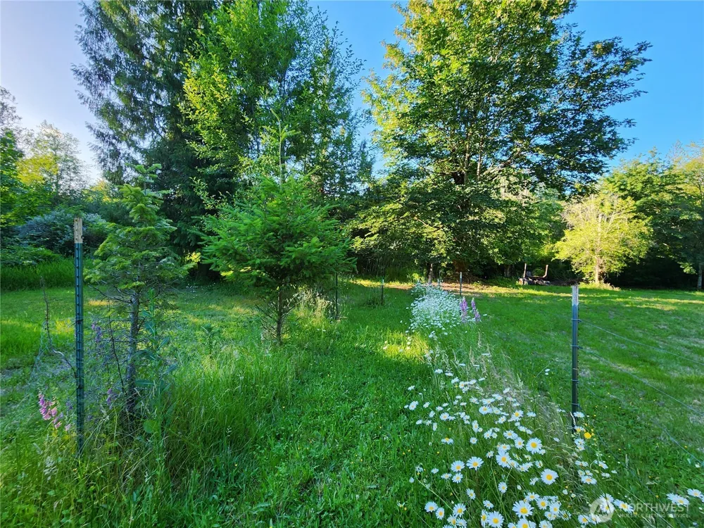 234 Markum Lane Winlock, WA 98596