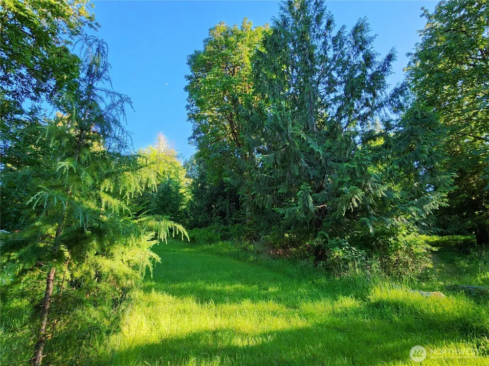 234 Markum Lane Winlock, WA 98596