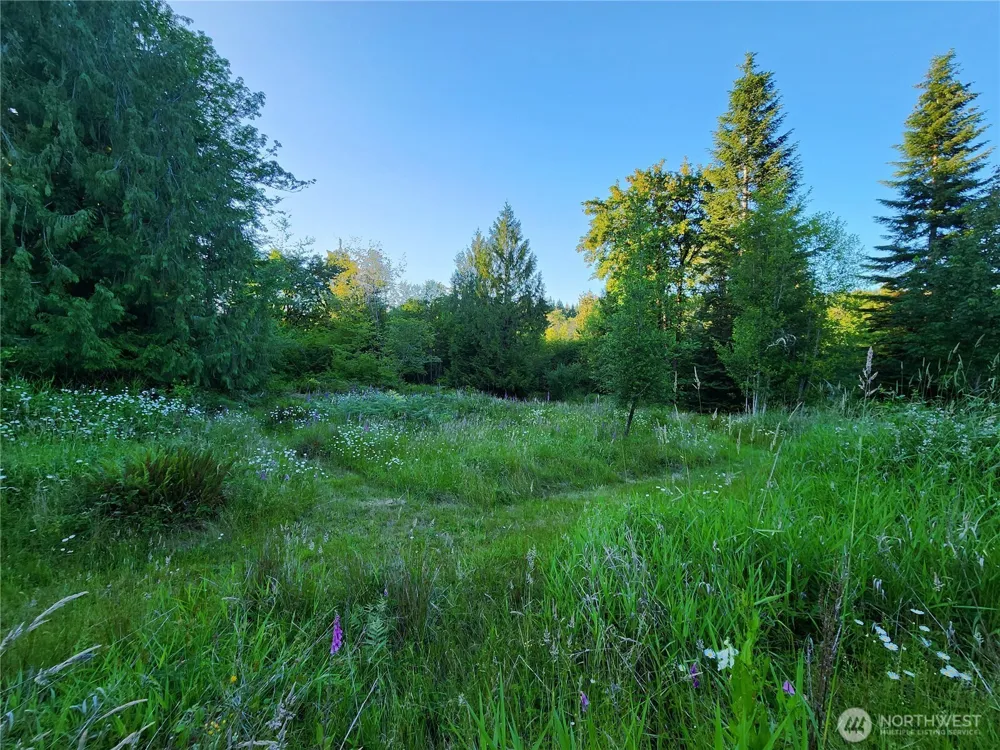 234 Markum Lane Winlock, WA 98596