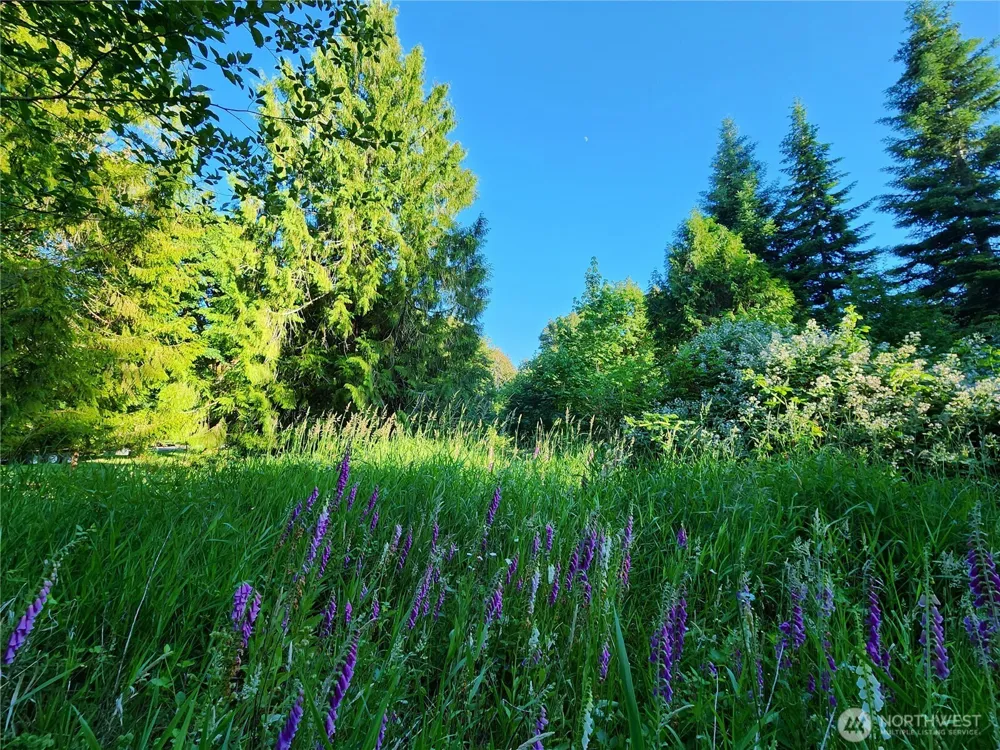 234 Markum Lane Winlock, WA 98596