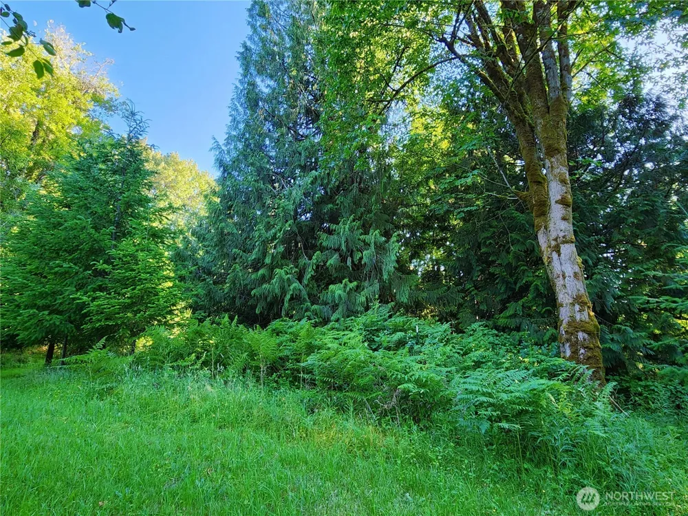 234 Markum Lane Winlock, WA 98596