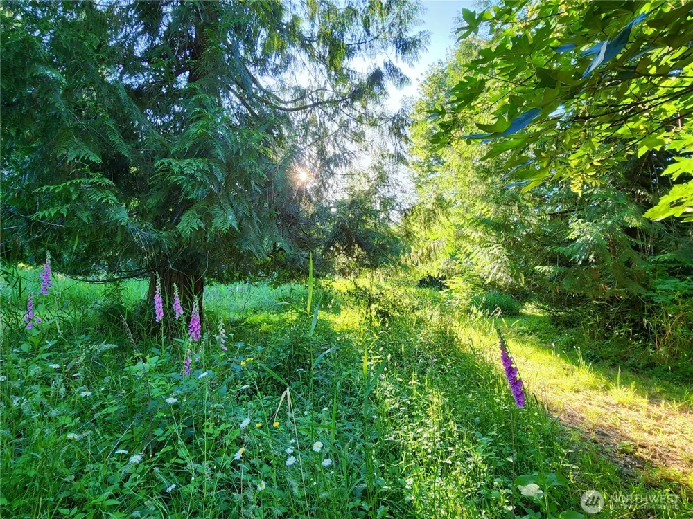 234 Markum Lane Winlock, WA 98596