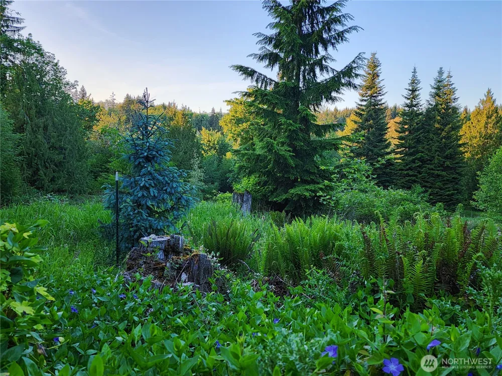 234 Markum Lane Winlock, WA 98596