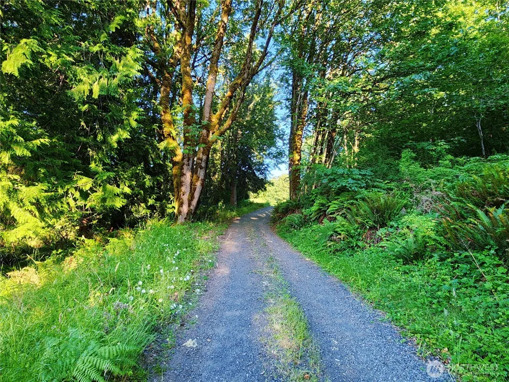 234 Markum Lane Winlock, WA 98596