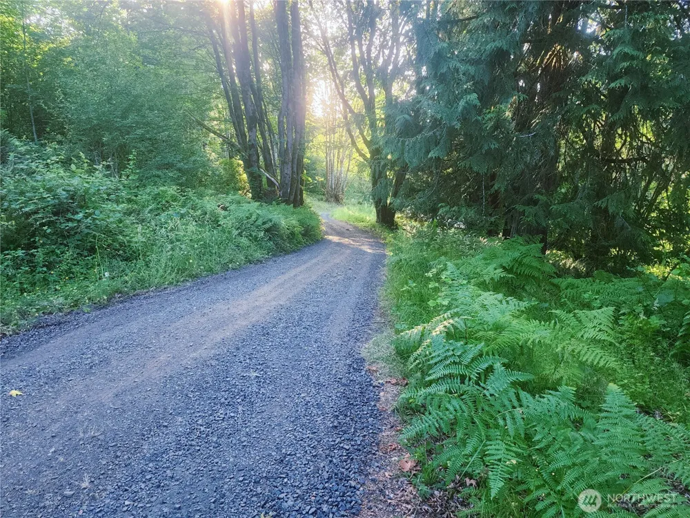 234 Markum Lane Winlock, WA 98596