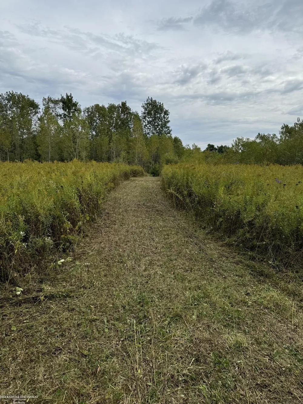 Hagerman Road Addison Township, MI 48367