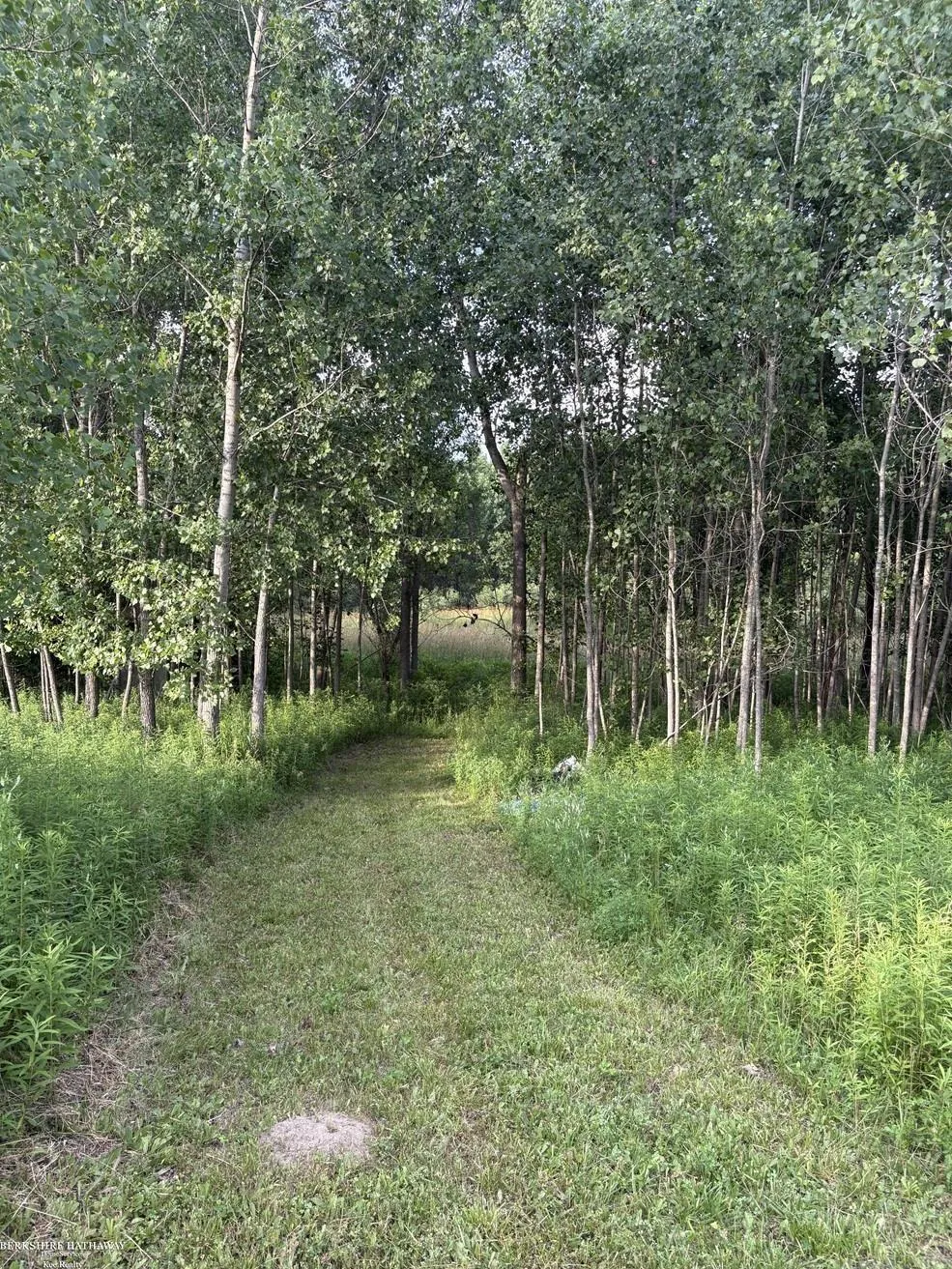 Hagerman Road Addison Township, MI 48367