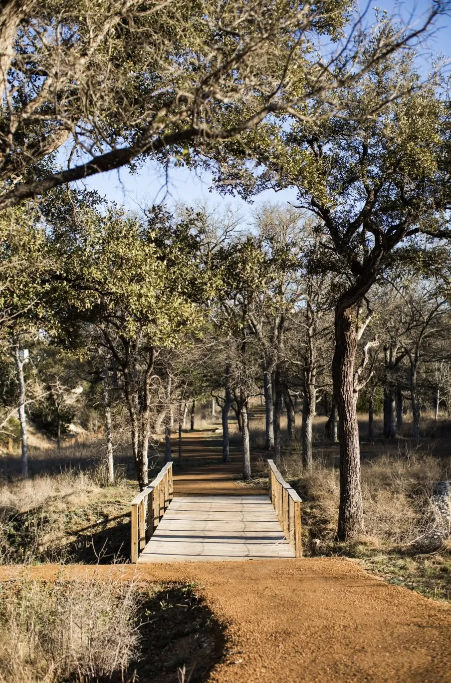 316 Valletta Way Liberty Hill, TX 78642