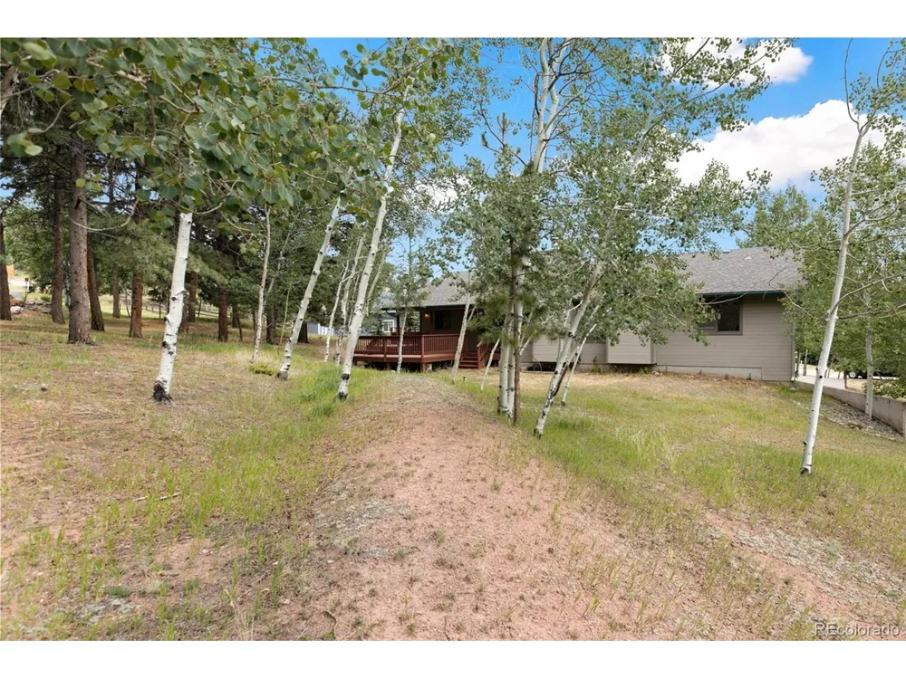 821 Red Eagle Court Woodland Park, CO 80863