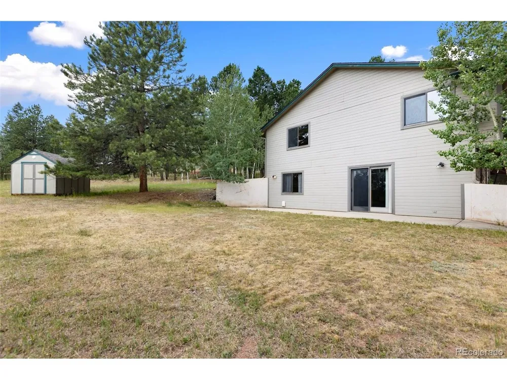 821 Red Eagle Court Woodland Park, CO 80863