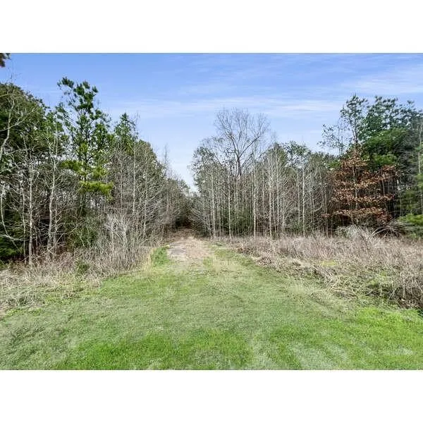 19571 Fm 1314 Road Porter, TX 77365