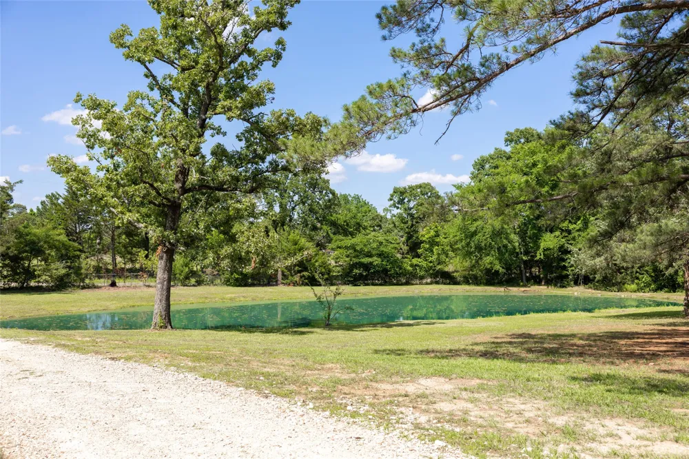 1756 County Road 45080 Road Powderly, TX 75473