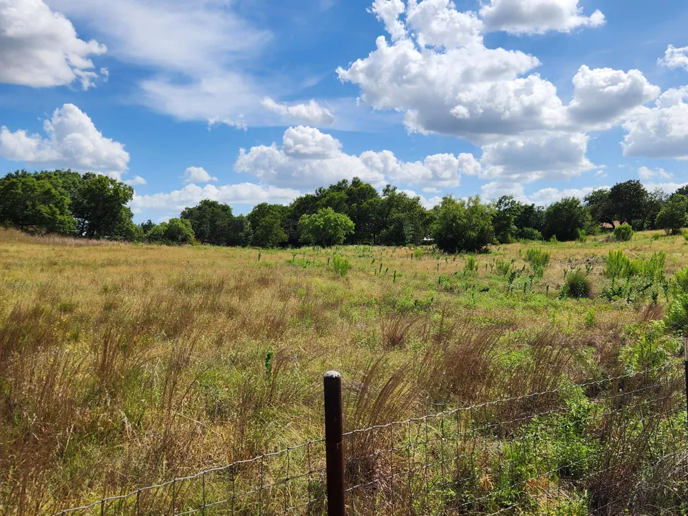 505 Chisum Trail Burnet, TX 78611