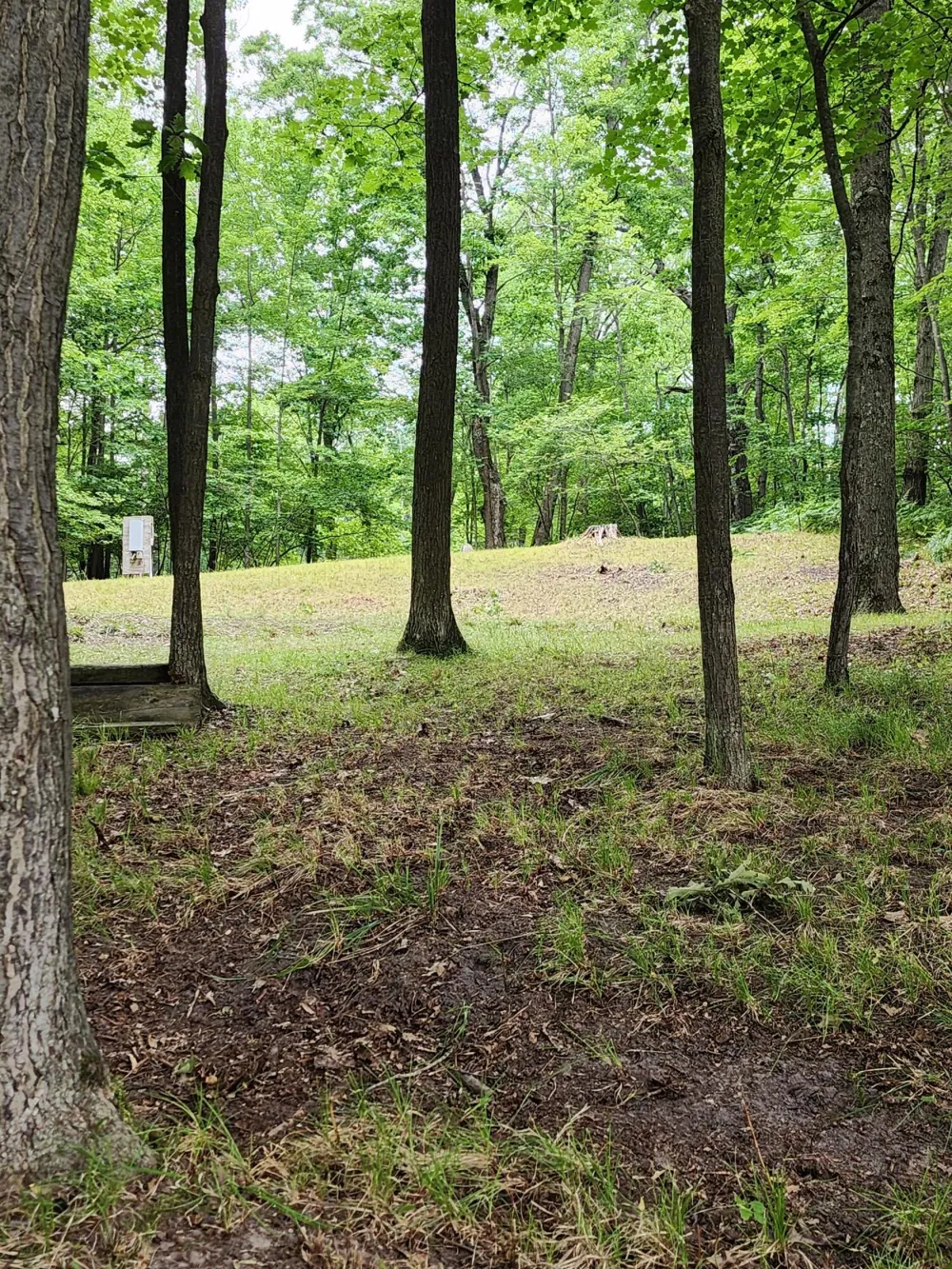 1631 Laurel Lane Farwell, MI 48622