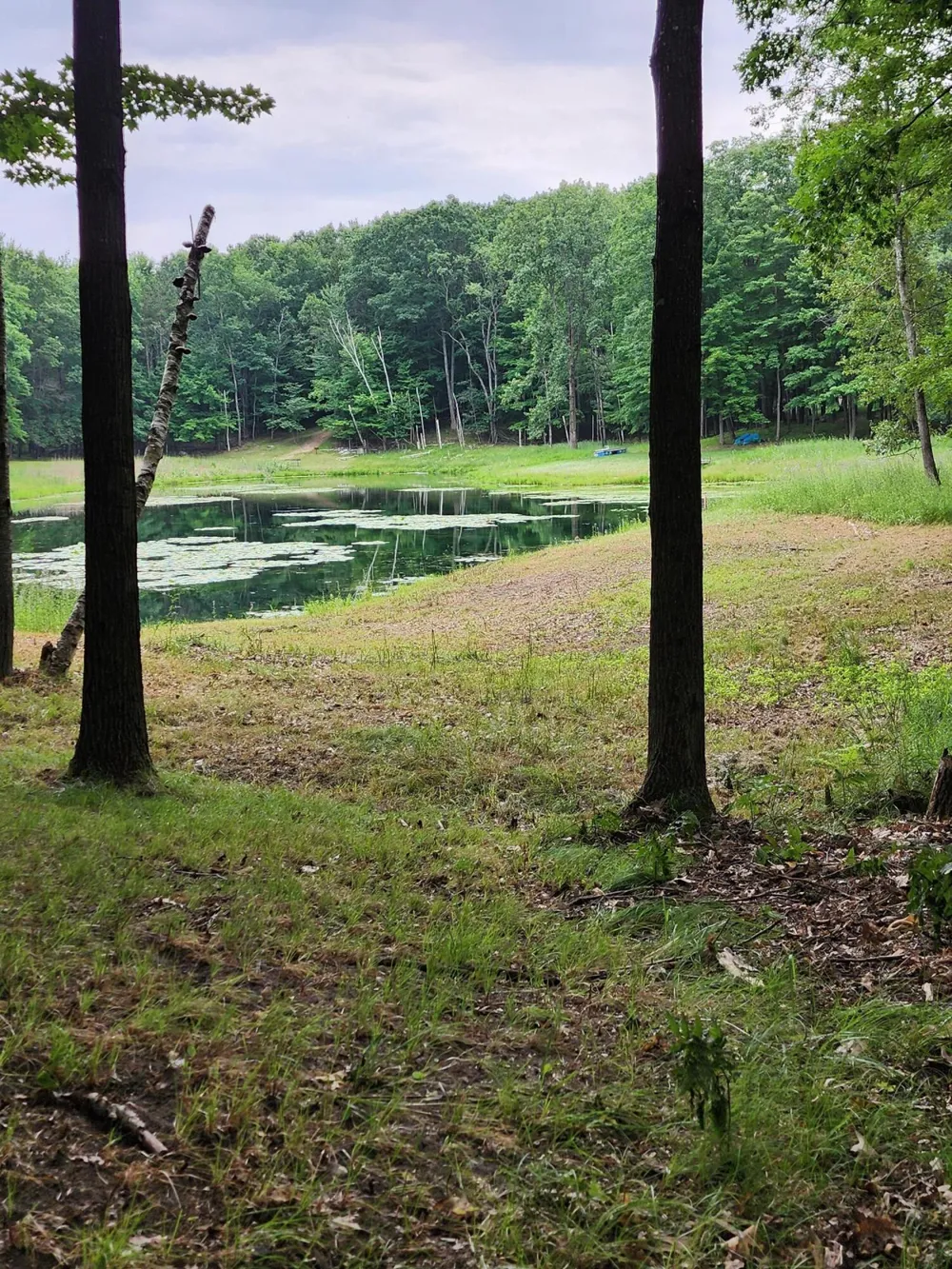 1631 Laurel Lane Farwell, MI 48622