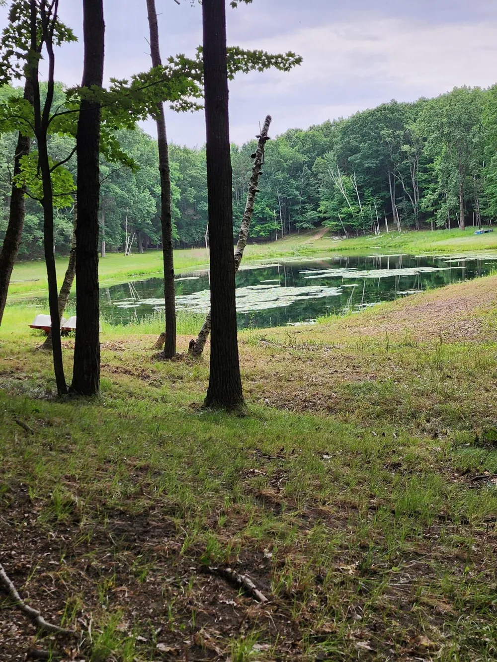 1631 Laurel Lane Farwell, MI 48622