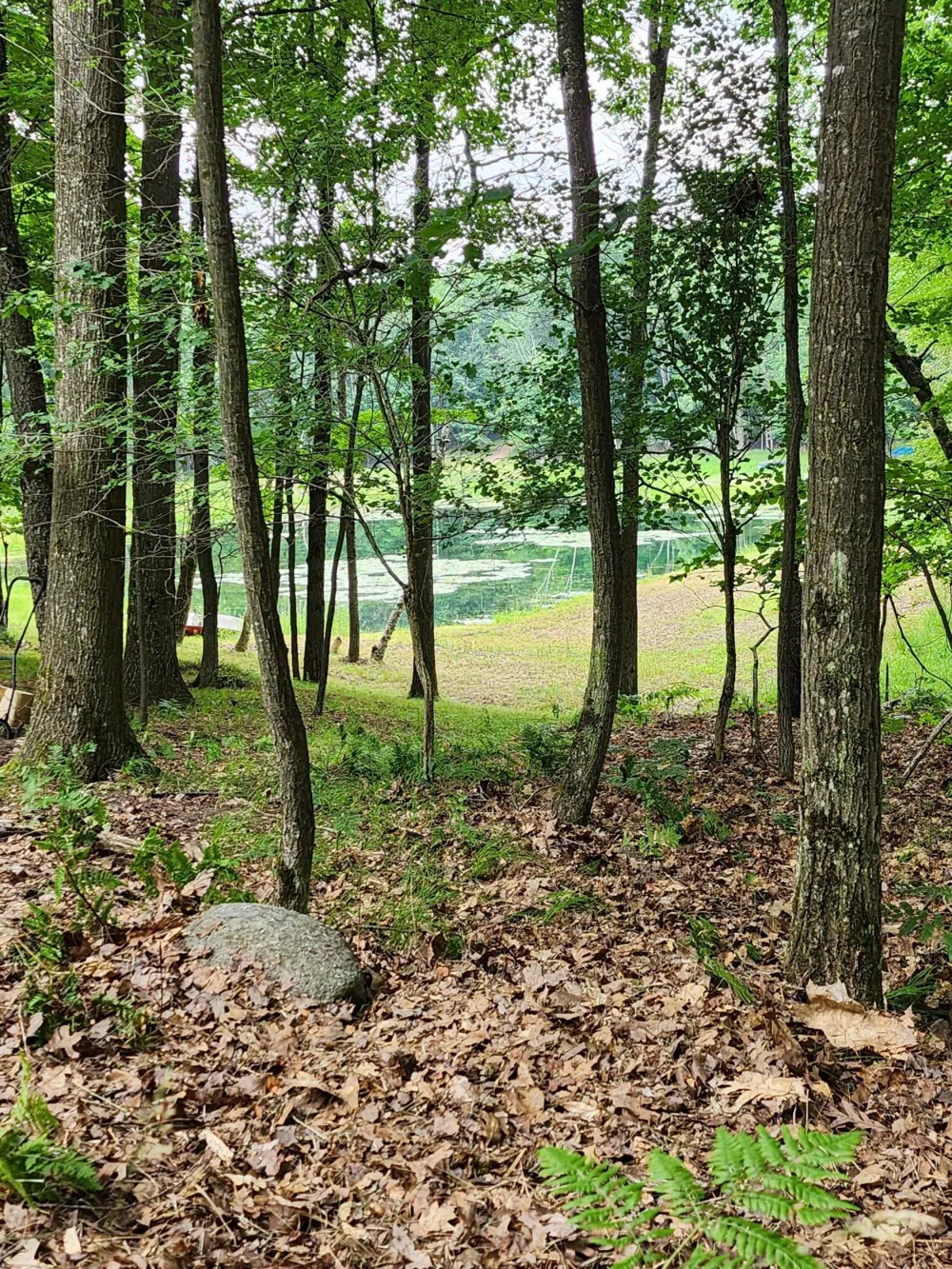1631 Laurel Lane Farwell, MI 48622
