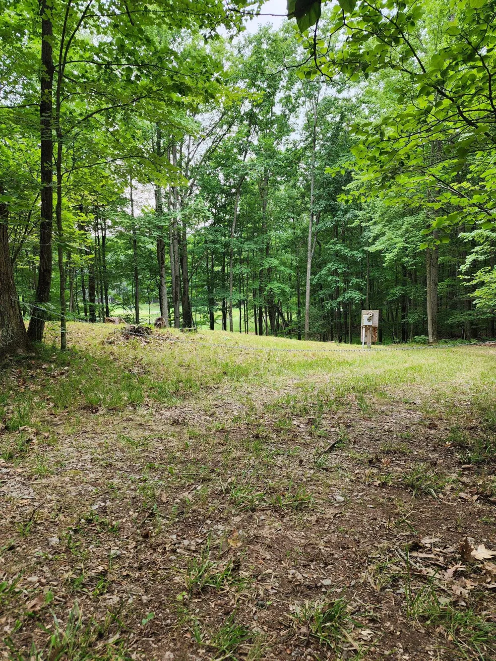 1631 Laurel Lane Farwell, MI 48622