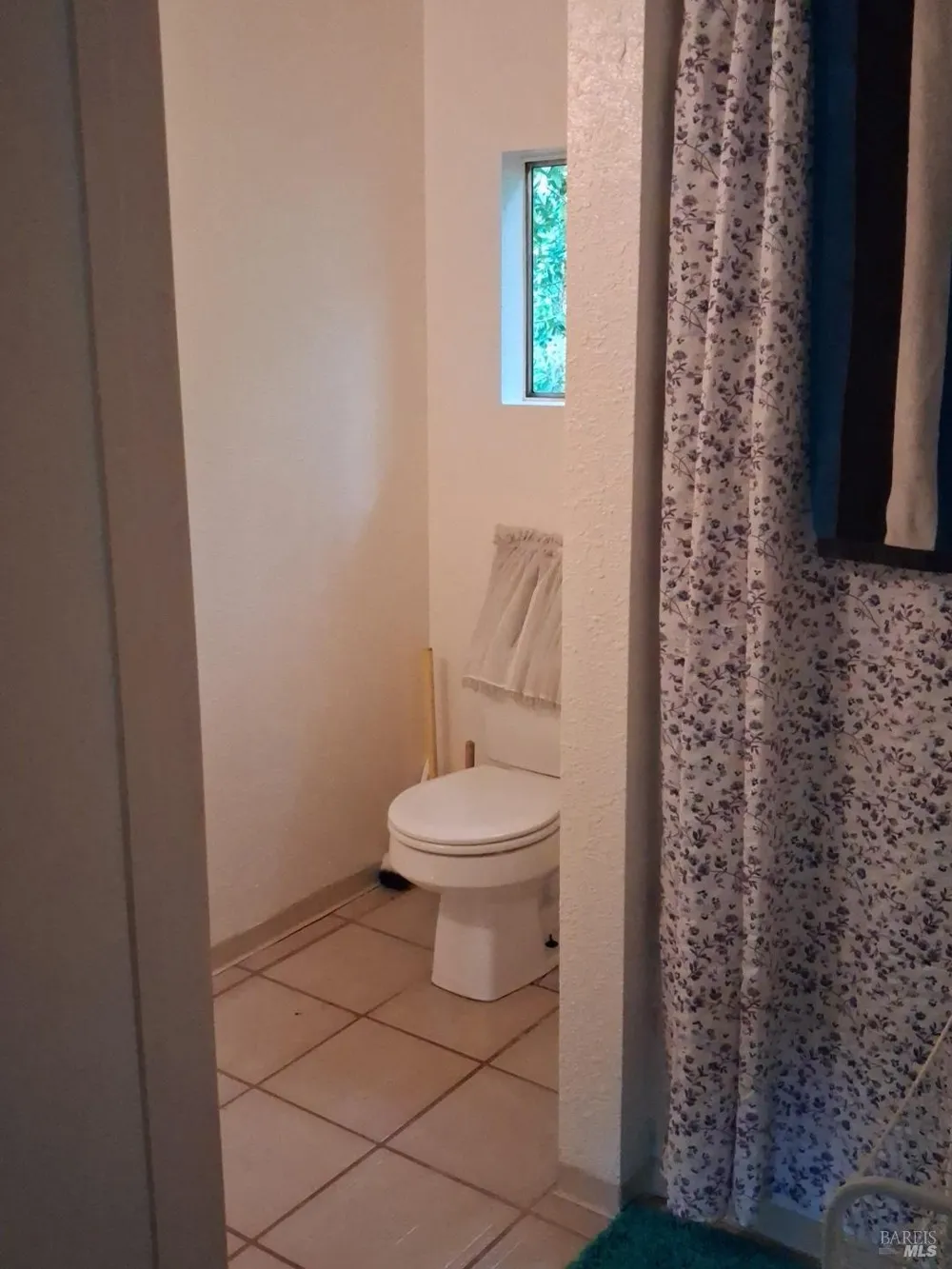 10113 Field Lane Forestville, CA 95436