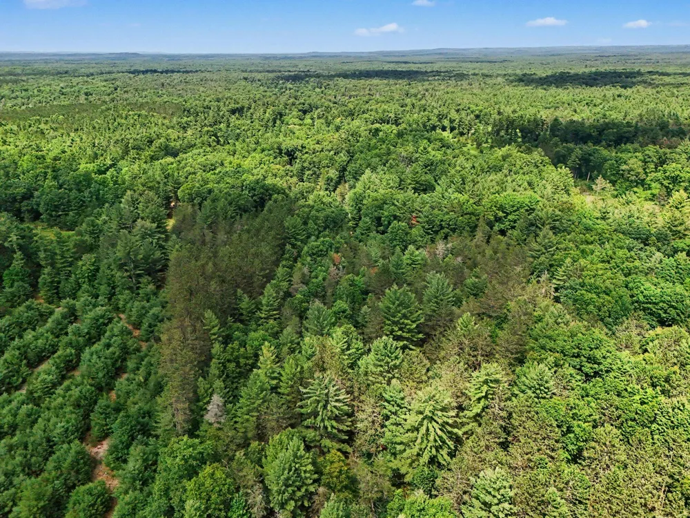 13325 W Pine Lake Road Norman Township, MI 49660