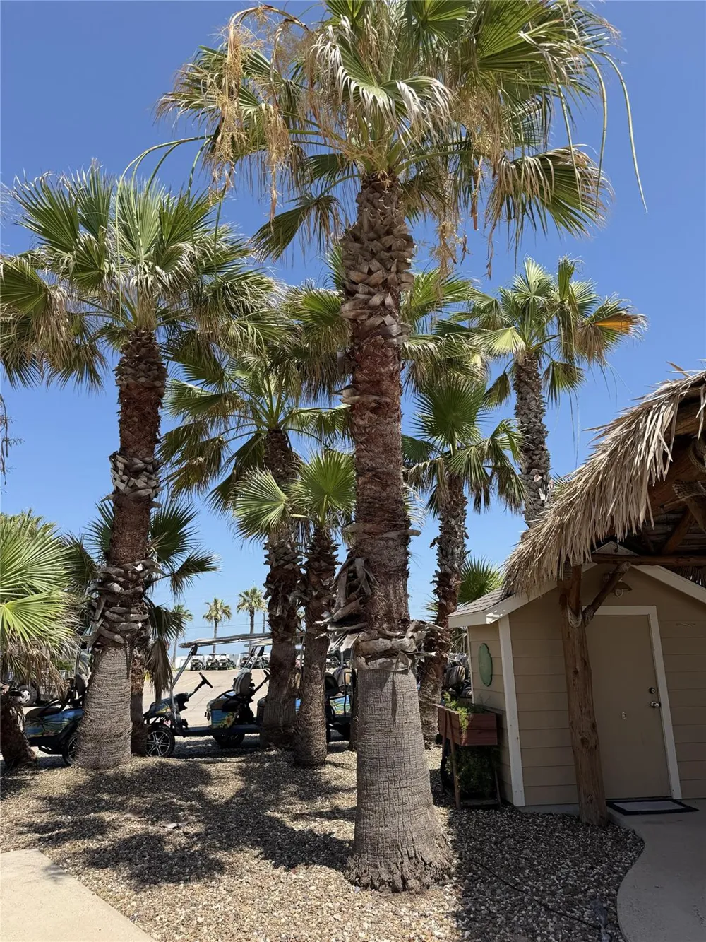 5601 State Highway 361 Port Aransas, TX 78373