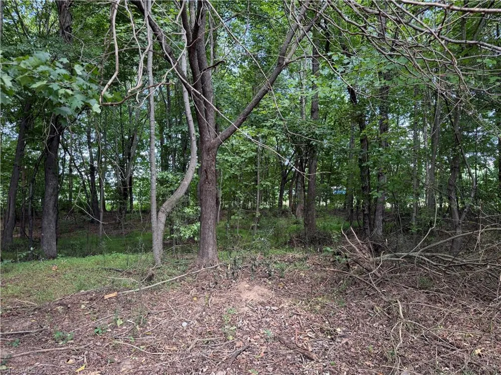 6725 US Highway 158 Stokesdale, NC 27357