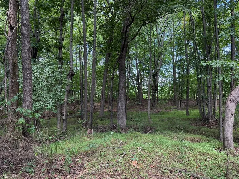 6725 US Highway 158 Stokesdale, NC 27357