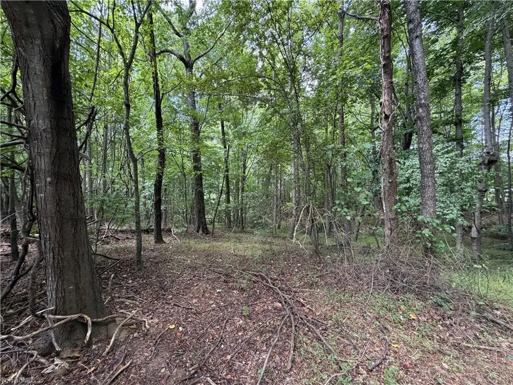 6725 US Highway 158 Stokesdale, NC 27357