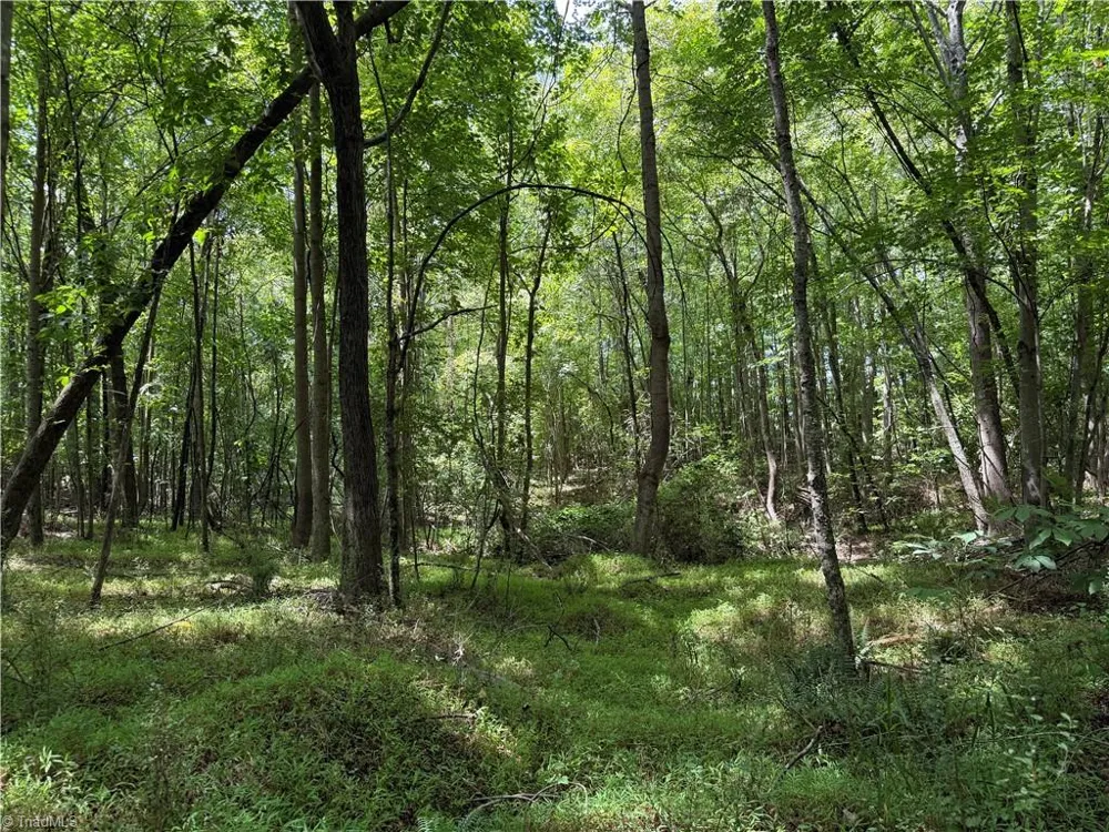 6725 US Highway 158 Stokesdale, NC 27357