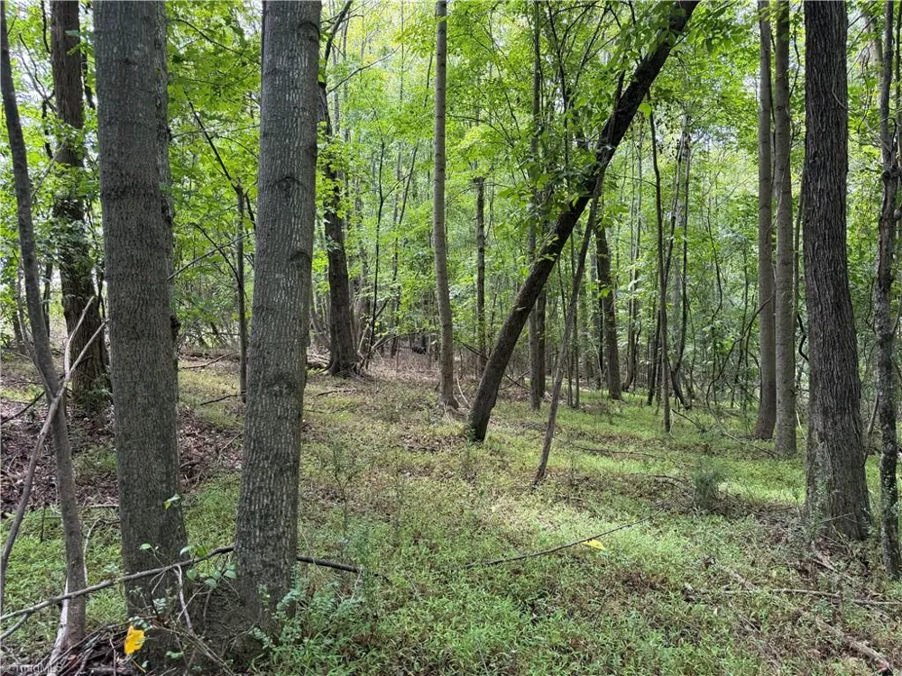 6725 US Highway 158 Stokesdale, NC 27357