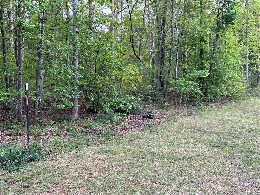0 Goldfinch Drive Covington, GA 30016