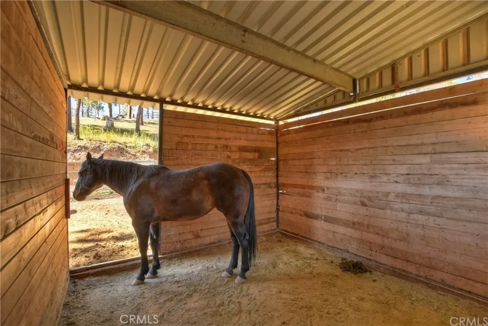 32745 Hilltop Running Springs, CA 92382