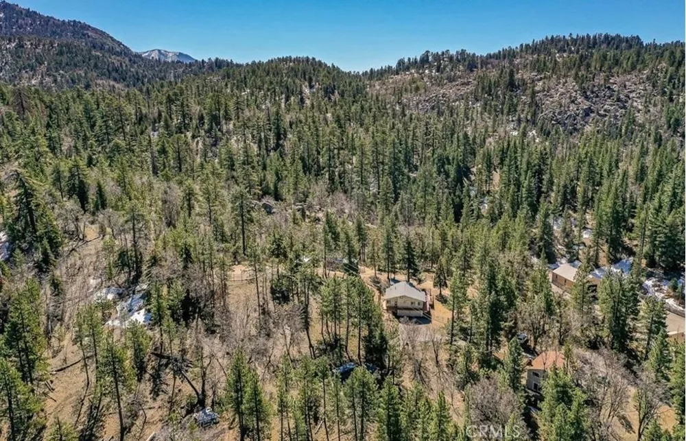 32745 Hilltop Running Springs, CA 92382