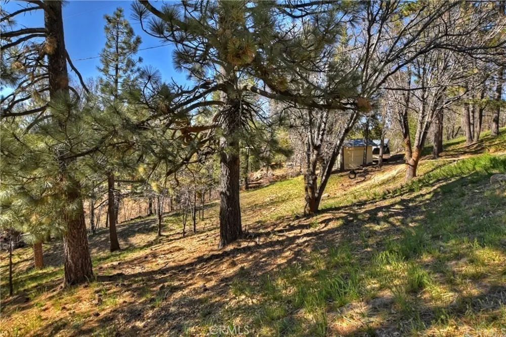32745 Hilltop Running Springs, CA 92382