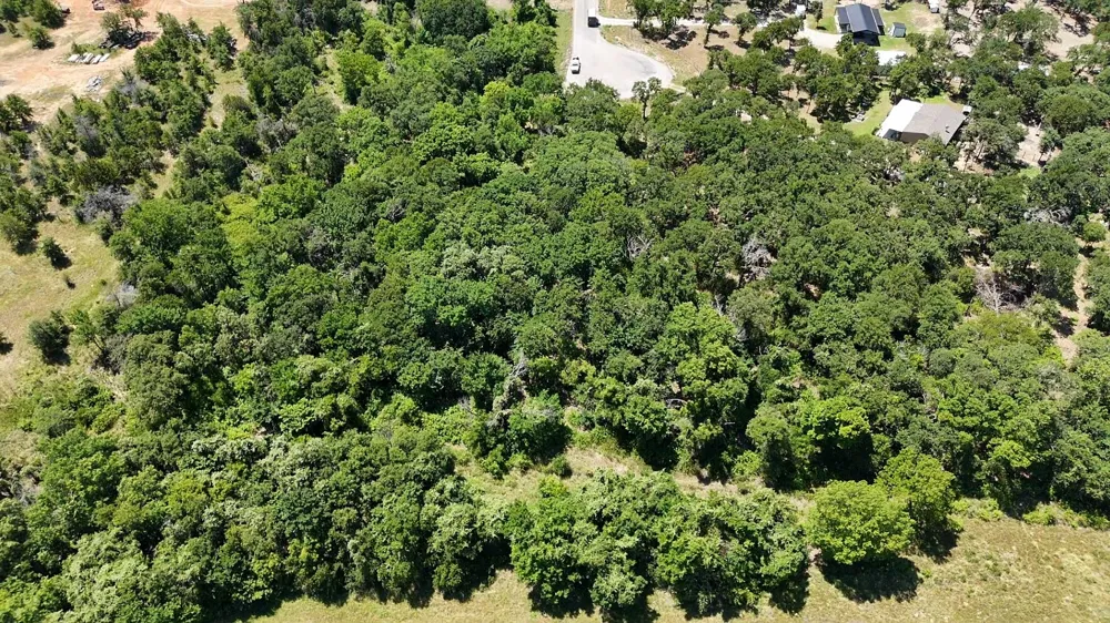 1029 Ironwood Way Poolville, TX 76487