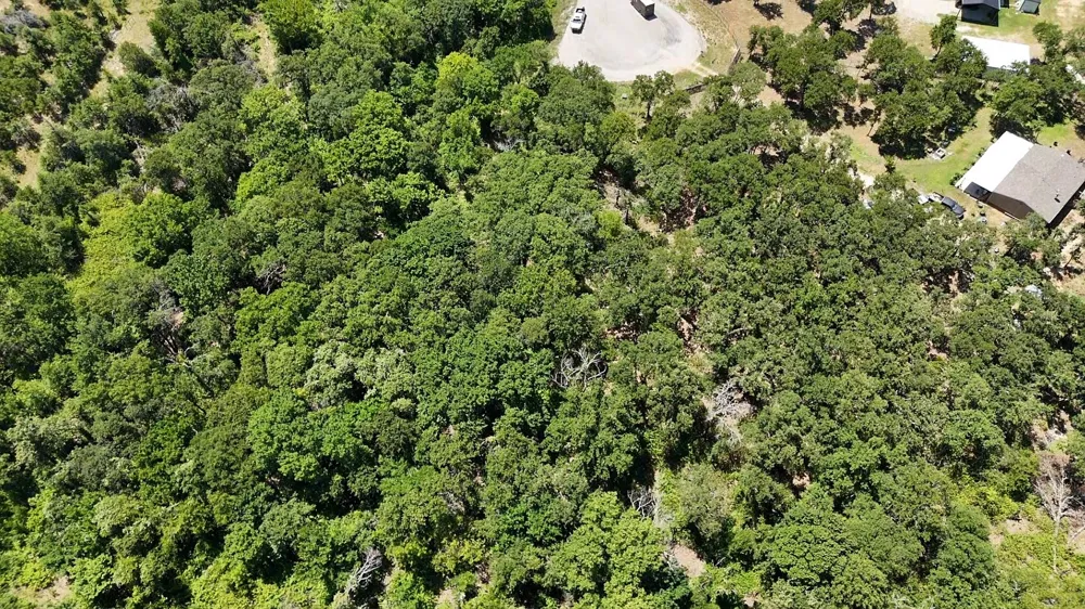 1029 Ironwood Way Poolville, TX 76487