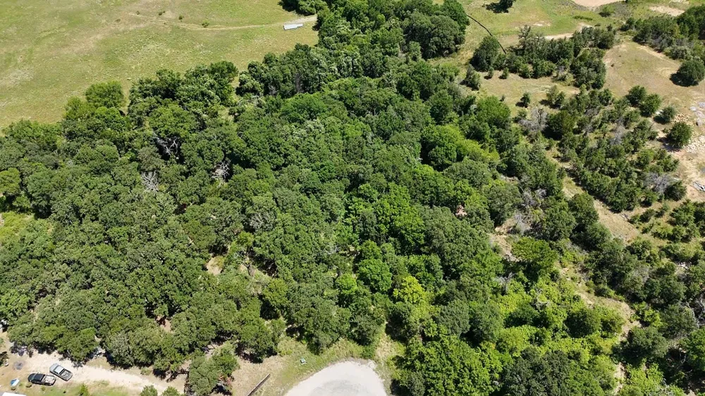 1029 Ironwood Way Poolville, TX 76487