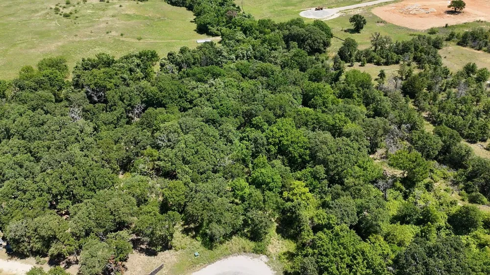 1029 Ironwood Way Poolville, TX 76487