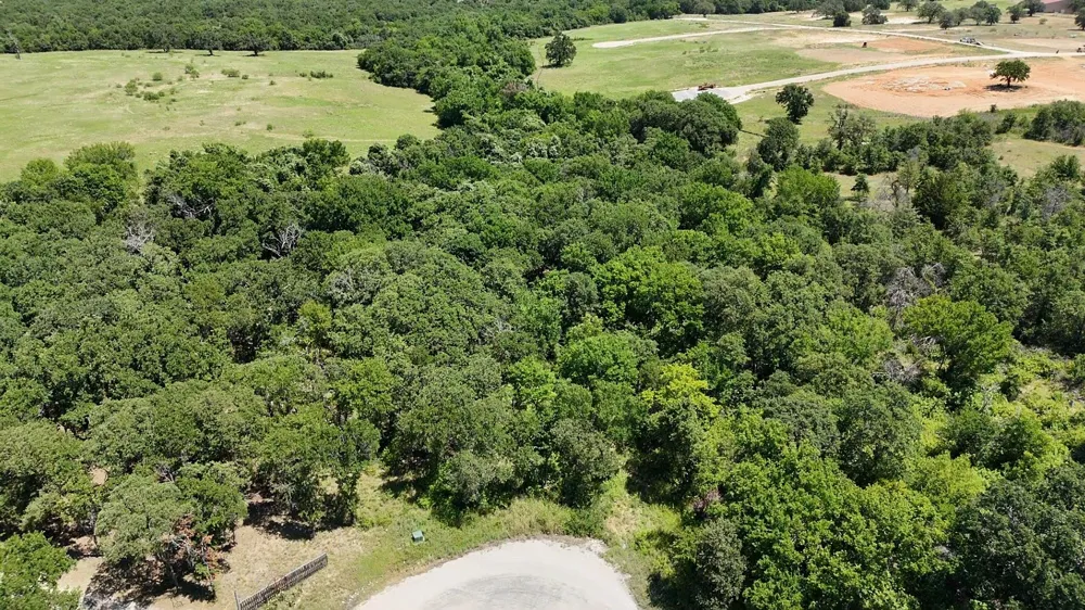 1029 Ironwood Way Poolville, TX 76487
