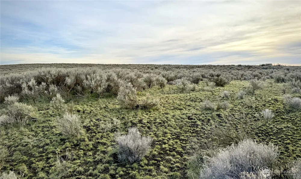 0 15.6 ROAD NE #98860 Wilson Creek, WA 98860