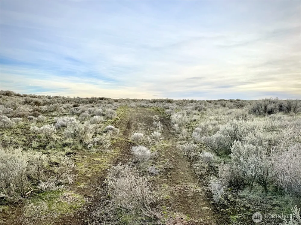 0 15.6 ROAD NE #98860 Wilson Creek, WA 98860