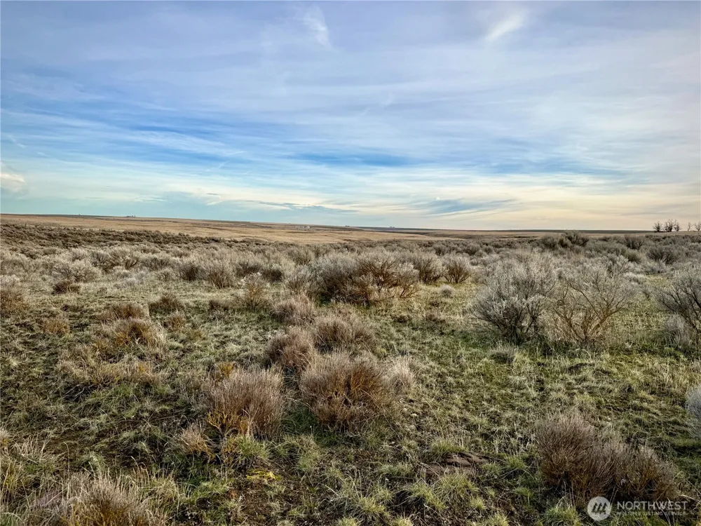 0 15.6 ROAD NE #98860 Wilson Creek, WA 98860